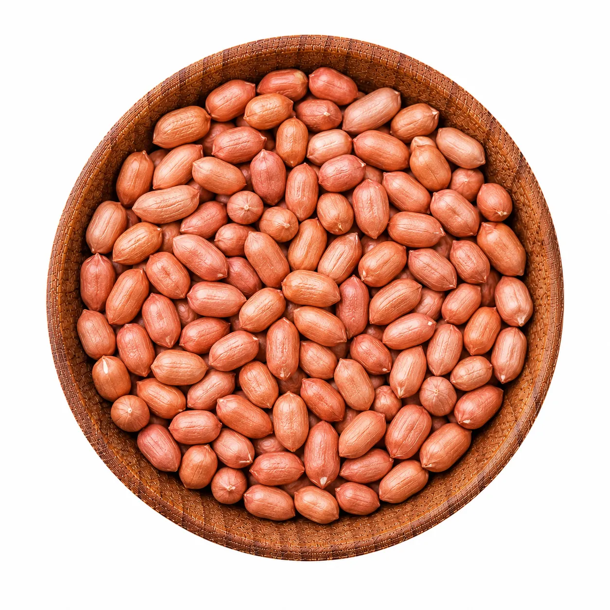 Coriander